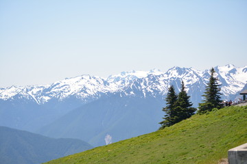 Olympic National Park