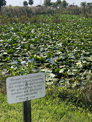 danger sign for aligators