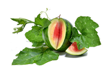  Fresh watermelon and leaves