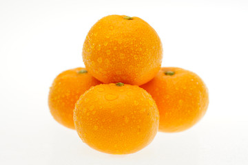 ミカン　近大ミカン