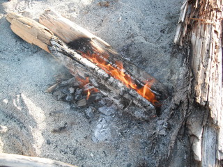 Campfire on a beach on Vancouver Island in Canada on a hiking trip to Cape Scott on the northern tip of the island. The fire was kept burning during the night to scare away the bears and cougars.