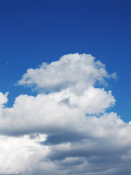 天空の城ラピュタ の画像 321 件の Stock 写真 ベクターおよびビデオ Adobe Stock