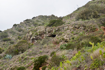Fototapeta na wymiar La Gomera: Trip from Agulo to the Mirador Abrante with skywalk; narrow path with fruits and flower