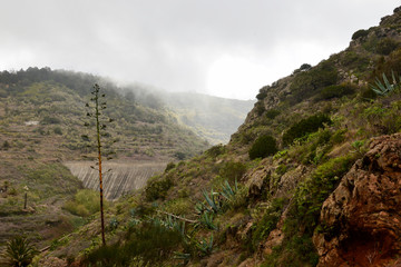 La Gomera: Trip from Agulo to the Mirador Abrante with skywalk; narrow path with fruits and flower