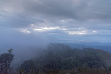 Fototapeta premium cloud, mist and mountain at Doi Mon Jong, Chiang Mai, Thailand
