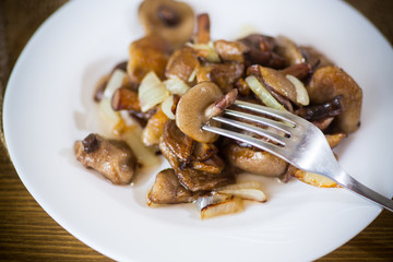 boletus mushrooms fried with onions in a plate