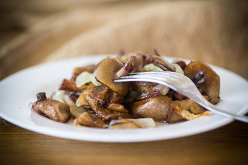 boletus mushrooms fried with onions in a plate