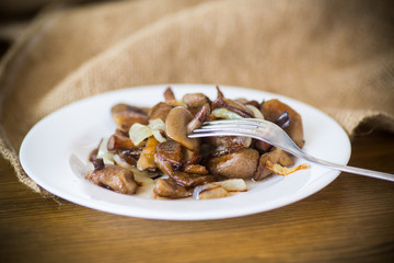 boletus mushrooms fried with onions in a plate