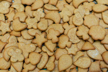 Homemade Gingerbread Gingerbread Cookies for Christmas, closeup