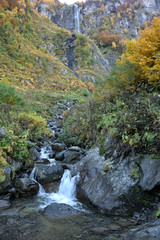 The flora of the mountain slopes of the Caucasus