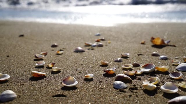 Beautiful beach background