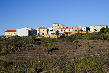 Obraz premium La Gomera: hinking from Alajeró to Imada, througth the Canyopn de Guarimiar and up to the Cabezo de las Vetilas