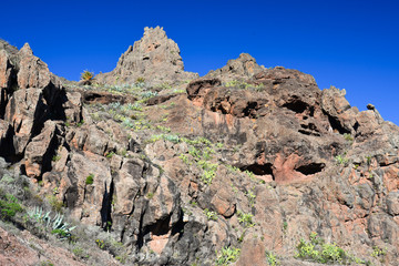 Fototapeta premium La Gomera: hinking from Alajeró to Imada, througth the Canyopn de Guarimiar and up to the Cabezo de las Vetilas
