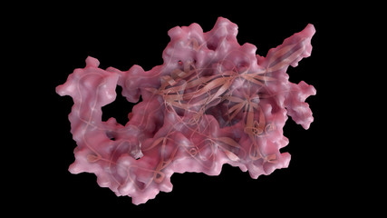 3D CG rendered image of scientifically accurate Feline Panleukopenia Virus (cat distemper virus)...