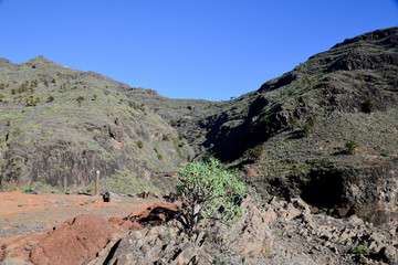 La Gomera: hinking from Alajeró to Imada, througth the Canyopn de Guarimiar and up to the Cabezo de las Vetilas