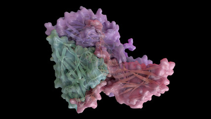 3D CG rendered image of scientifically accurate Polio Virus Capsid Structure based on PDB : 2PLV (capsomere)