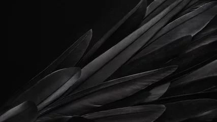 Black wing feathers detail, abstract dark background  © Alena Gerasimova