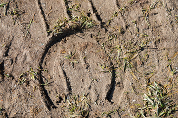 Hufeisen Spur im Sand als Nahaufnahme