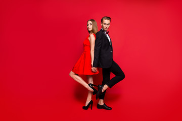 Full length body size portrait of two nice lovely attractive cha