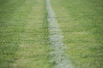 campo calcio