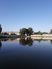 Fototapeta premium park