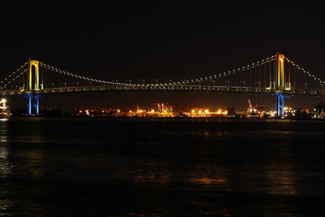 Fototapeta na wymiar 東京湾の夜景