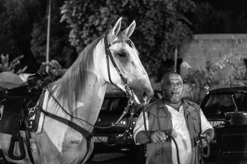 Conversano (Bari), Festa di San Rocco