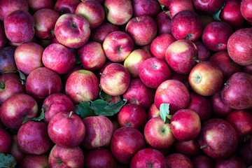 Apples