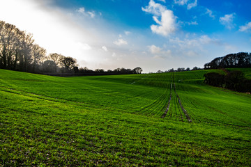 The beautiful landscape of Combe Valley, near Bexhill, In East Sussex, England