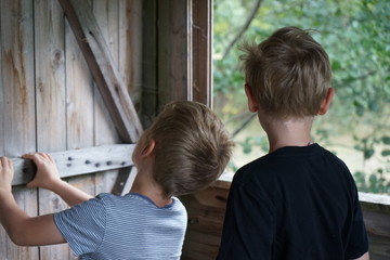 2 brothers, boys playing in tree house 