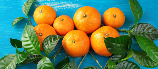 Banner Ripe tangerines with green leaves on a bright blue background Top view flat lay copy space