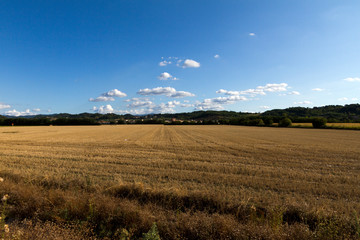Paronami di Serravalle (Alessandria)