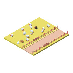 Landscape with flock of sheep on farm land. Road and fence. Isometric 3d vector illustration.