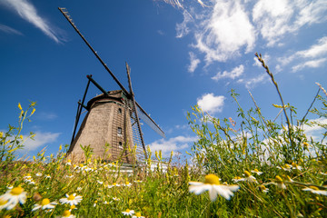 Windmill "Het Noorden" - Texel