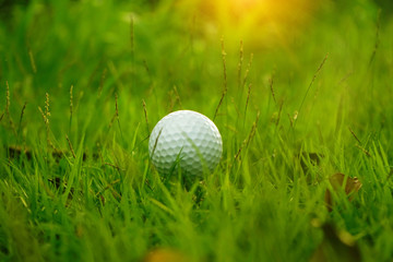 Blurred golf ball on tee in beautiful golf course at sunset background.