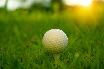 Blurred golf ball on tee in beautiful golf course at sunset background.