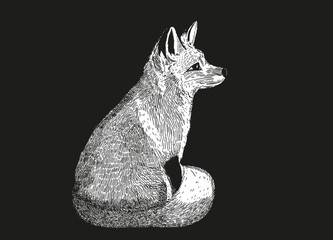 gezeichneter Fuchs auf schwarzem Hintergrund