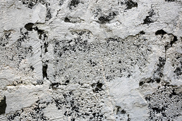 rough texture of a old gray wall.