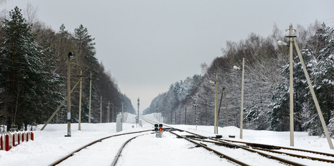 Railway in the winter in the forest