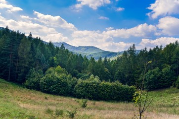 Beautiful fairytale mountain landscape. Green trees on the hills in the summer scenery.