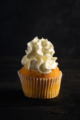 Whipped cream cupcake on a dark background