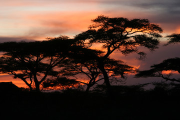 Serengeti National Park
