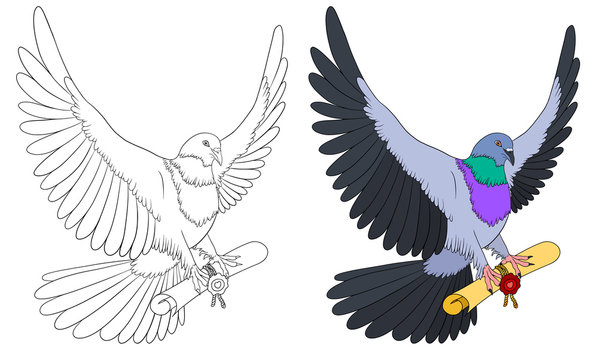 Dove flies and holds in paws letter.