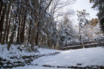 Nature park walkway with snow ground to Zuihoden Mausoleum in Sendai, Japan
