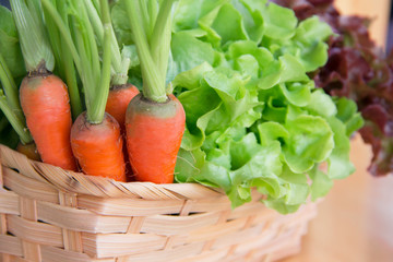 fresh and organic green oak, red oak, baby carrot, healthy vegetables in the basket for salad