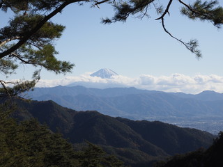 view of Mt. Fuji and pine tree