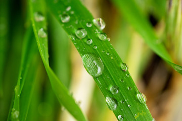 Close up Wassertropfen