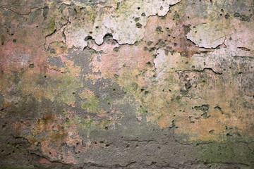 rough texture of a old gray wall.