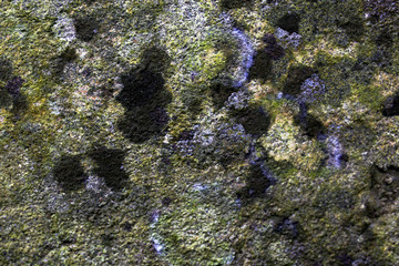 rough texture of a old gray wall.