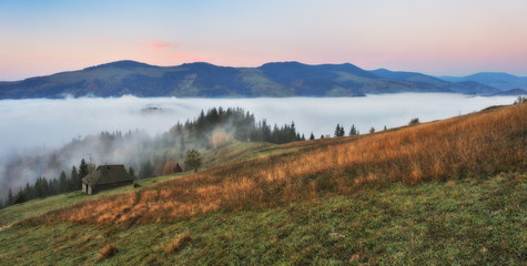 Fototapeta na wymiar foggy morning in the Carpathian mountains. autumn foggy dawn